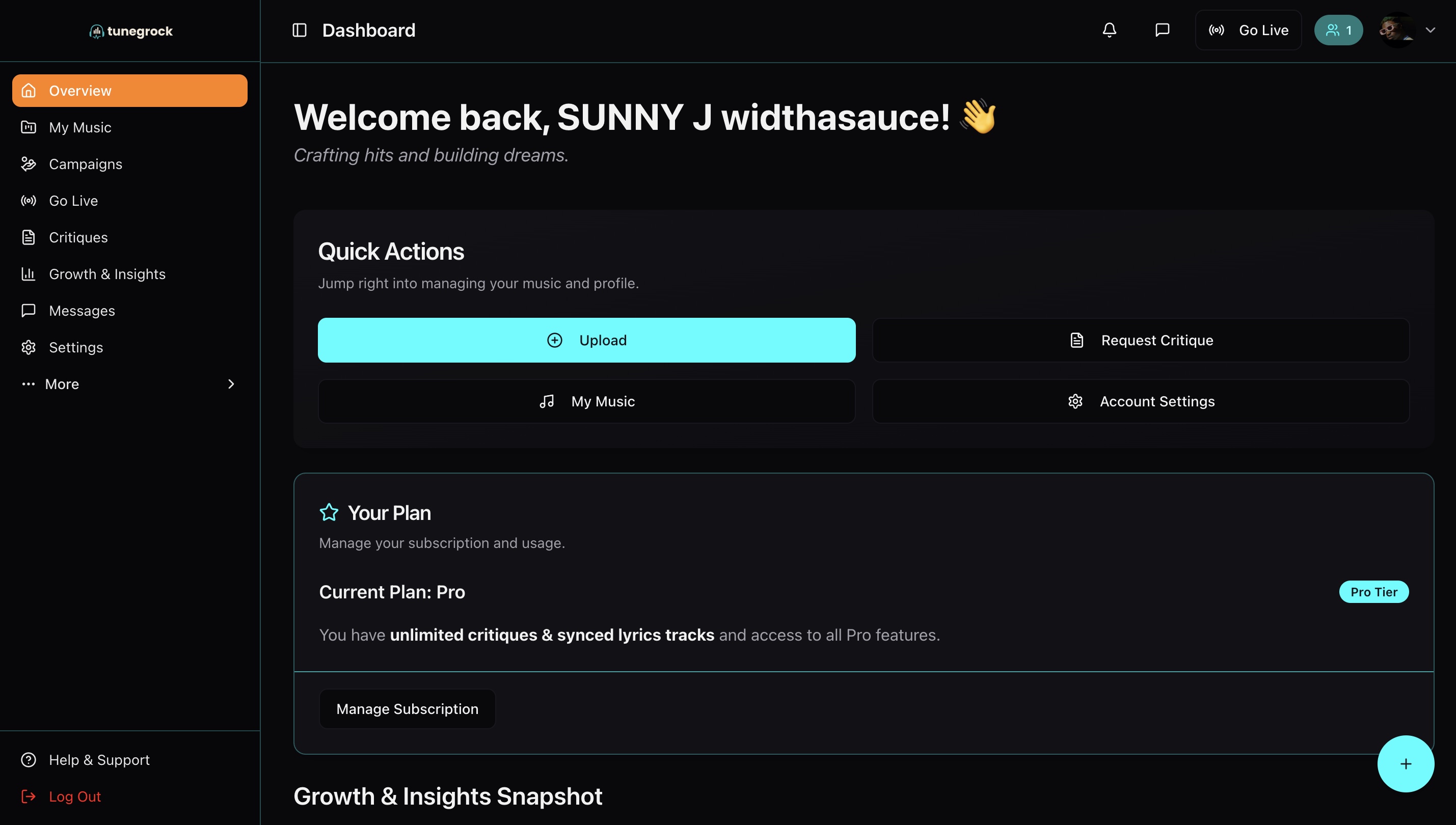 Artist Dashboard